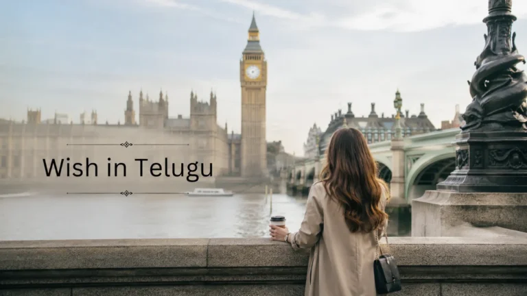 Wish in Telugu