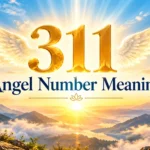 311 Angel Number Meaning