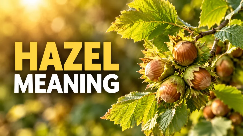 Hazel Meaning