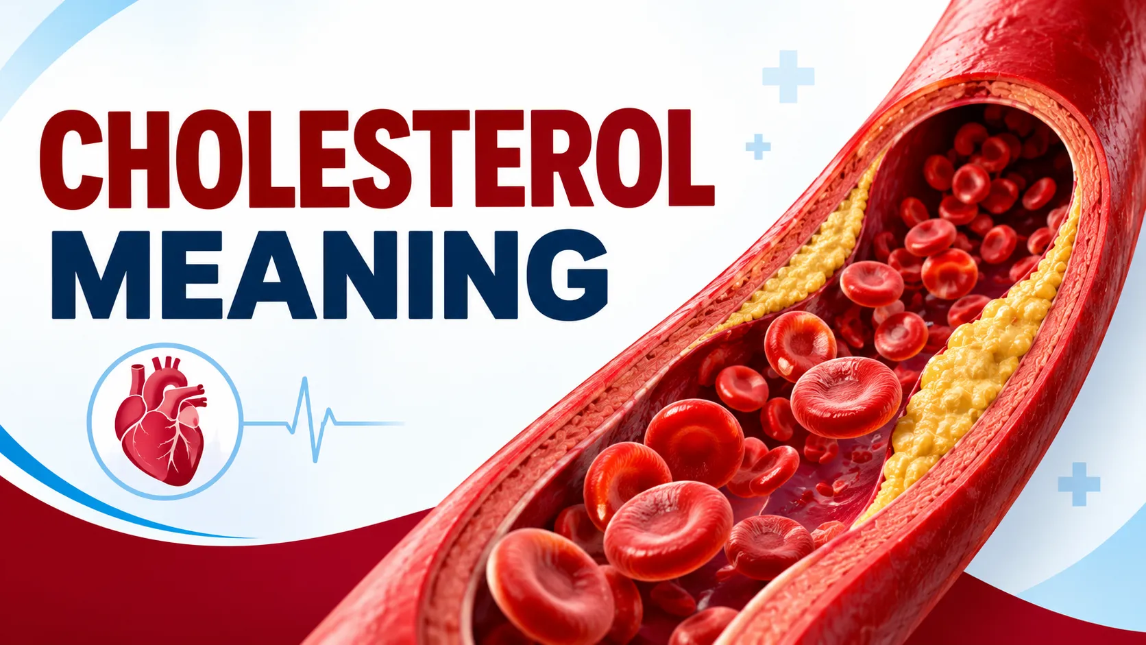 Cholesterol Meaning
