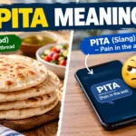 Pita Meaning