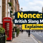 Nonse Meaning British Slang