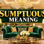 Sumptuous Meaning