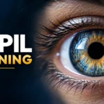 Pupil Meaning